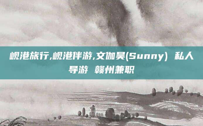 荆门岘港旅行,岘港伴游,文伽昊(Sunny) 私人导游 赣州兼职