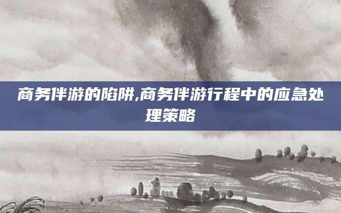 荆门商务伴游的陷阱,商务伴游行程中的应急处理策略